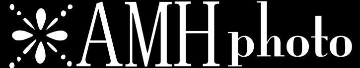 banner logo - AMHphoto